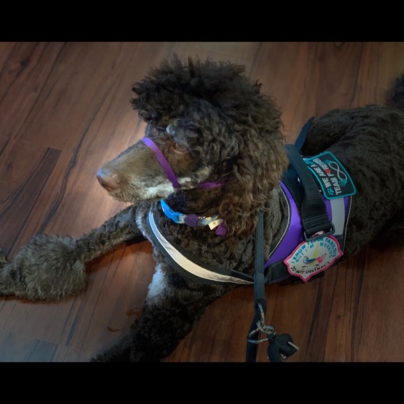 Meet your Posher, Jamie - Picture 3 of 5